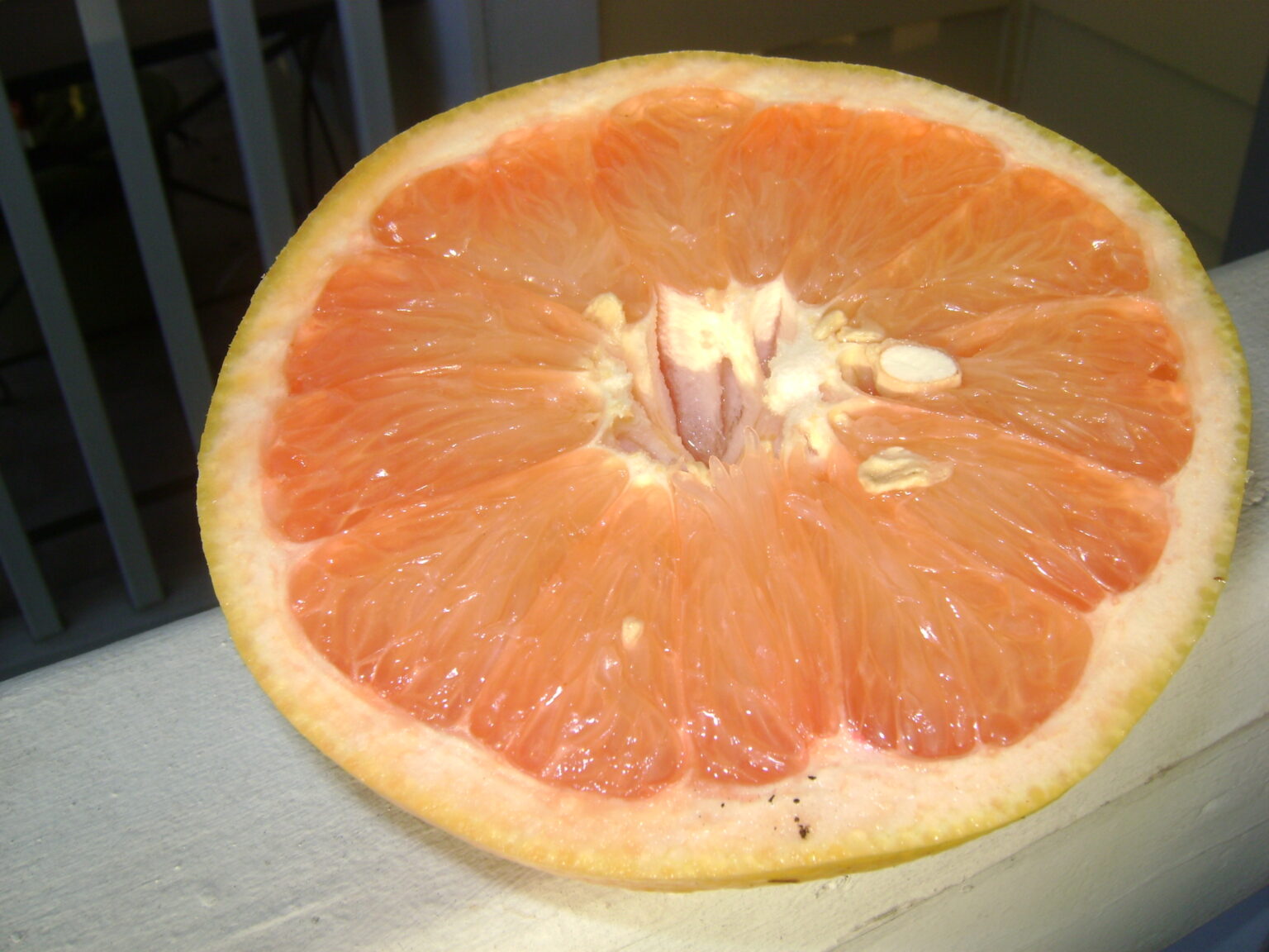 Buy Ruby Red Grapefruit Trees, For Sale in Orlando, Kissimmee