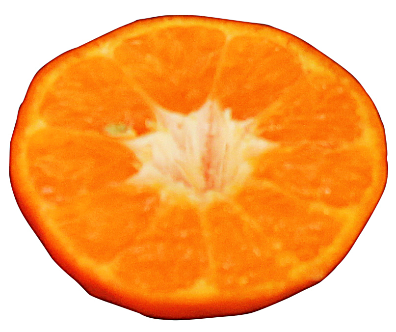 Inside the Sunburst Tangerine