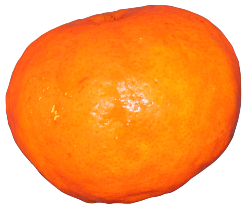 Sunburst Tangerine