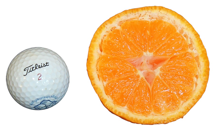 Compare Ponkan Tangerine